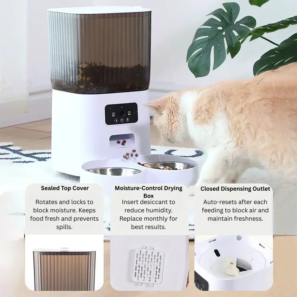 Cat eating from smart pet feeder with infographic highlighting sealed top, moisture control, and closed outlet system