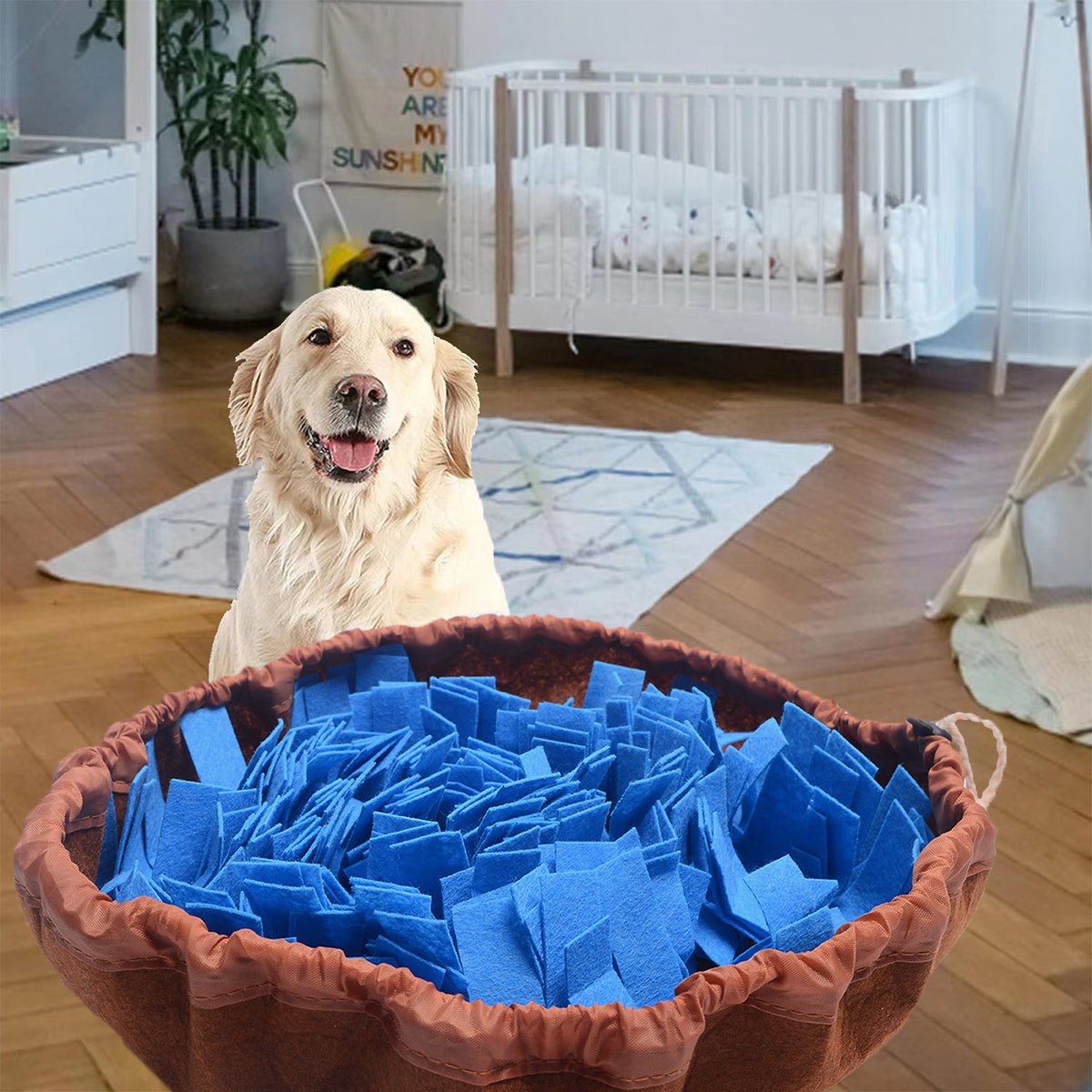 Pet Sniffing Mat - Washable Dog Slow Feeder & Training Toy