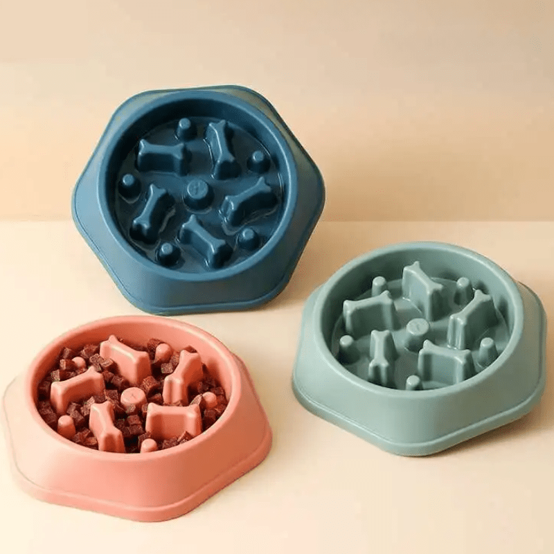 Slow Feeder Dog Bowl – Anti-Choking Pet Food Dish