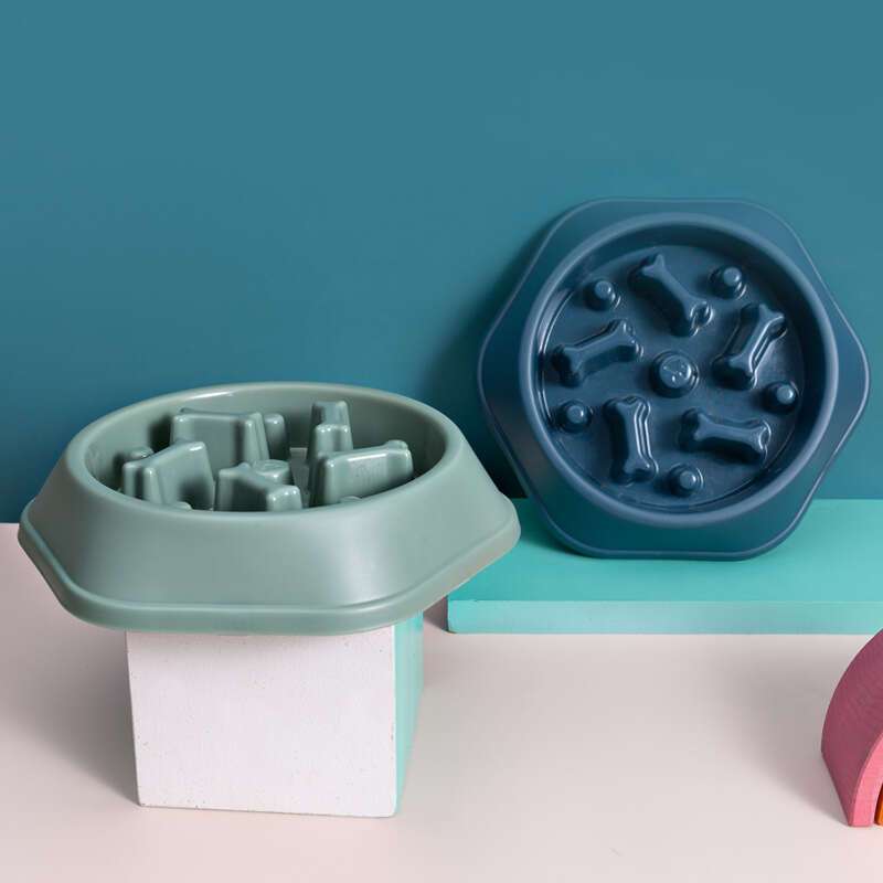 Dog Slow Feed Bowl: Anti-Choking Pet Feeder