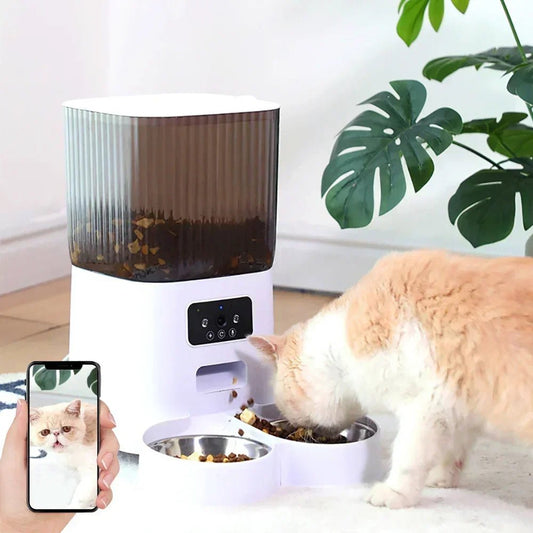 Cat eating from automatic pet feeder with dual bowls, WiFi control via smartphone and live camera view