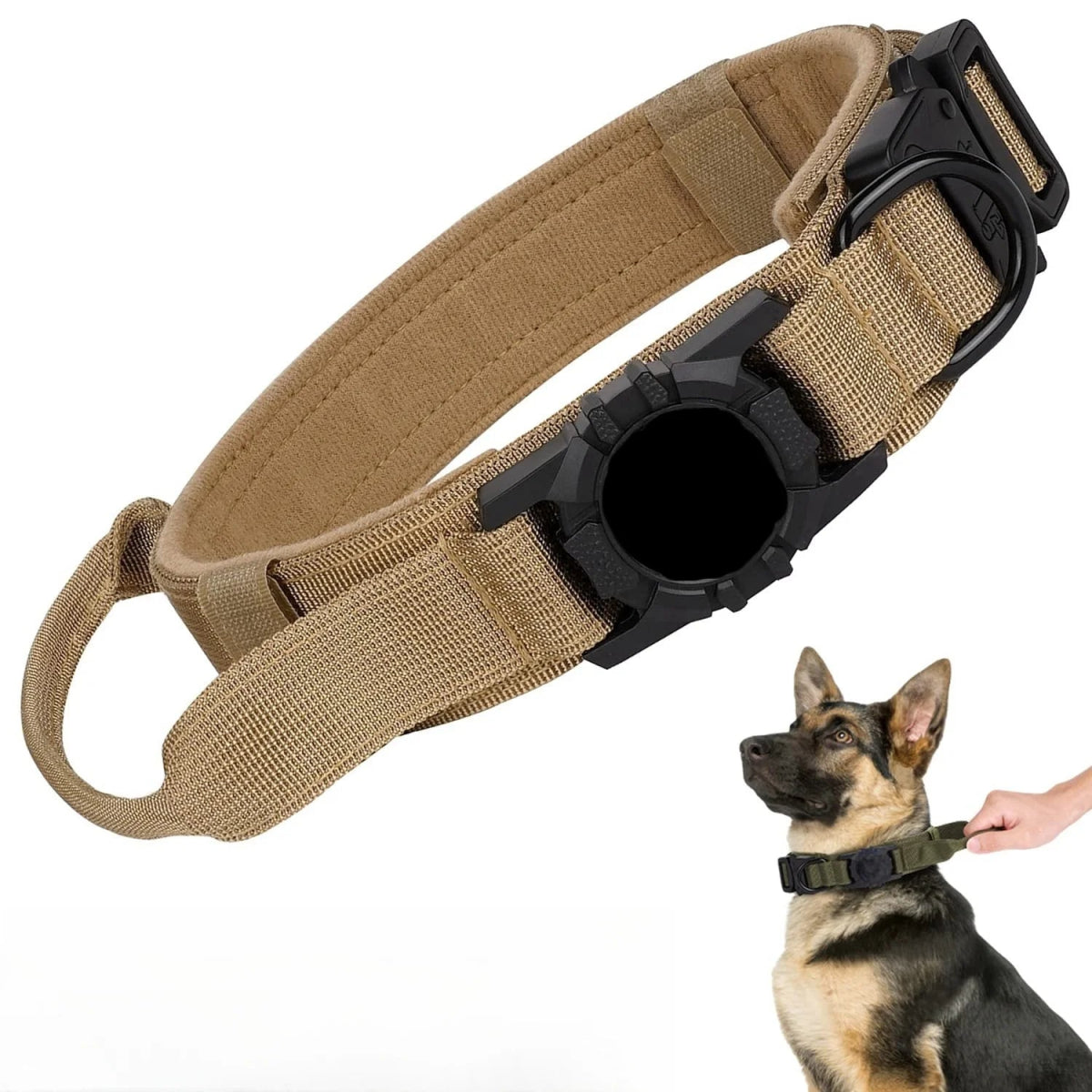 Khaki Collar